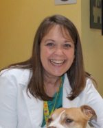 cathy wallace headshot cathy wallace headshot